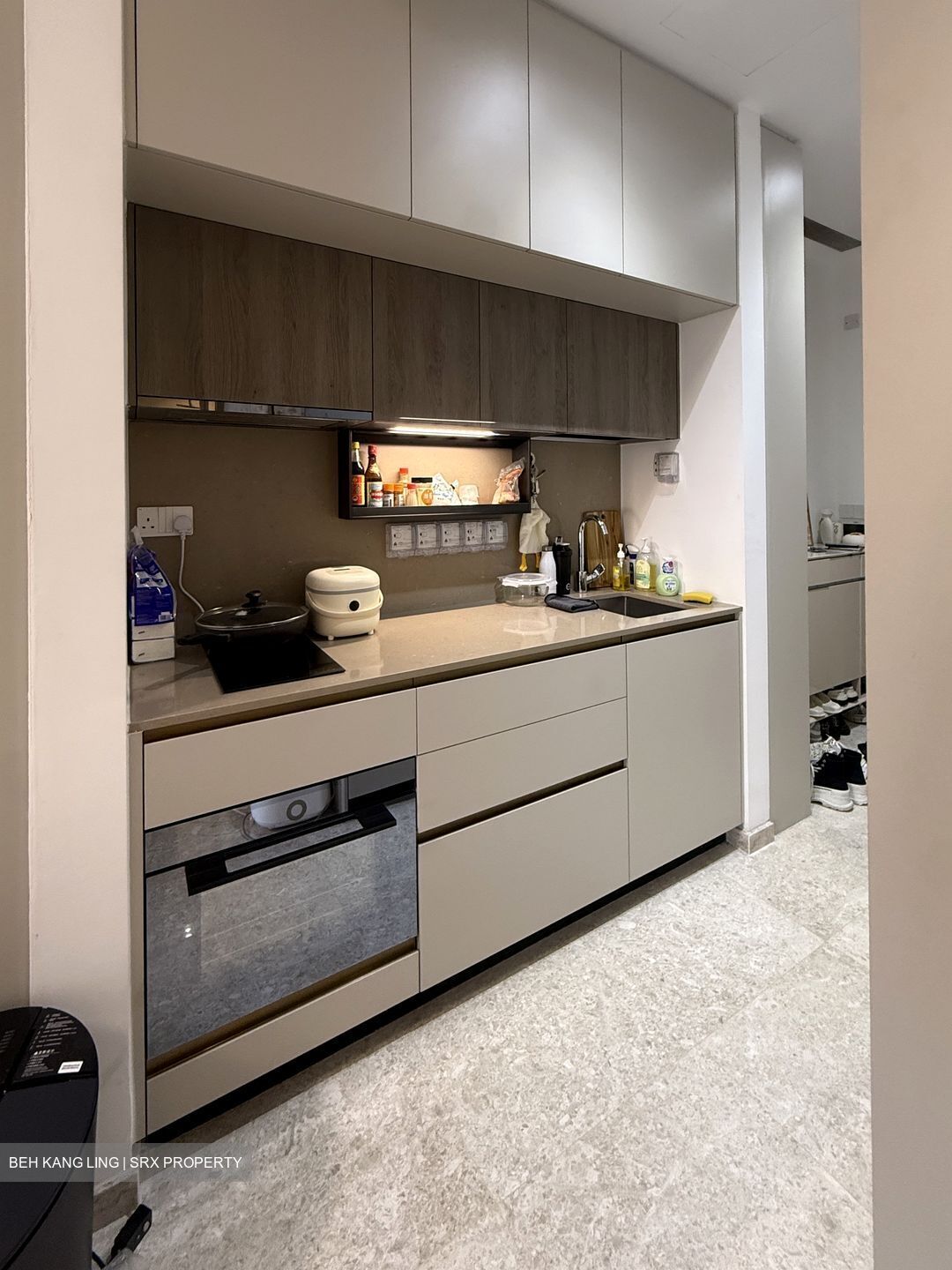 The Avenir (D9), Condominium #538415351